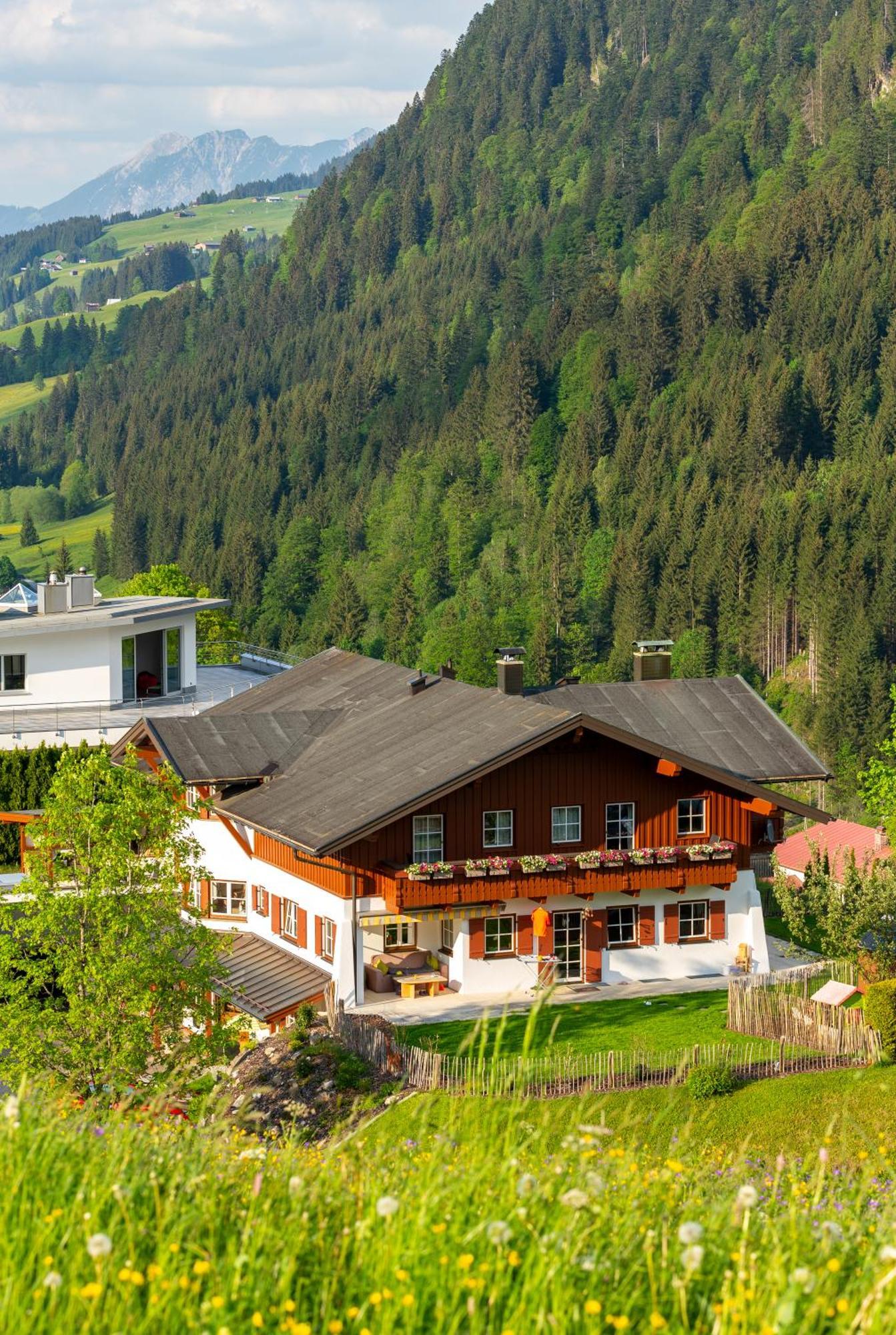 Haus Berg & Tal Διαμέρισμα Hirschegg  Εξωτερικό φωτογραφία