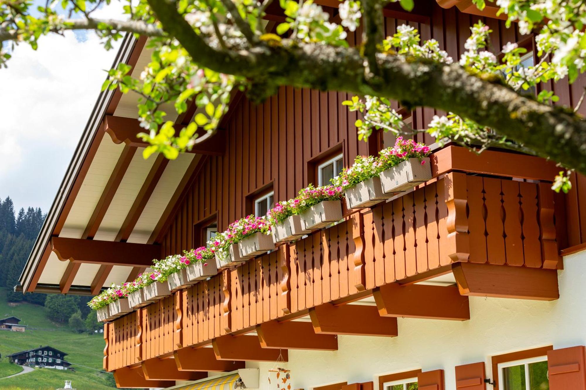 Haus Berg & Tal Διαμέρισμα Hirschegg  Εξωτερικό φωτογραφία